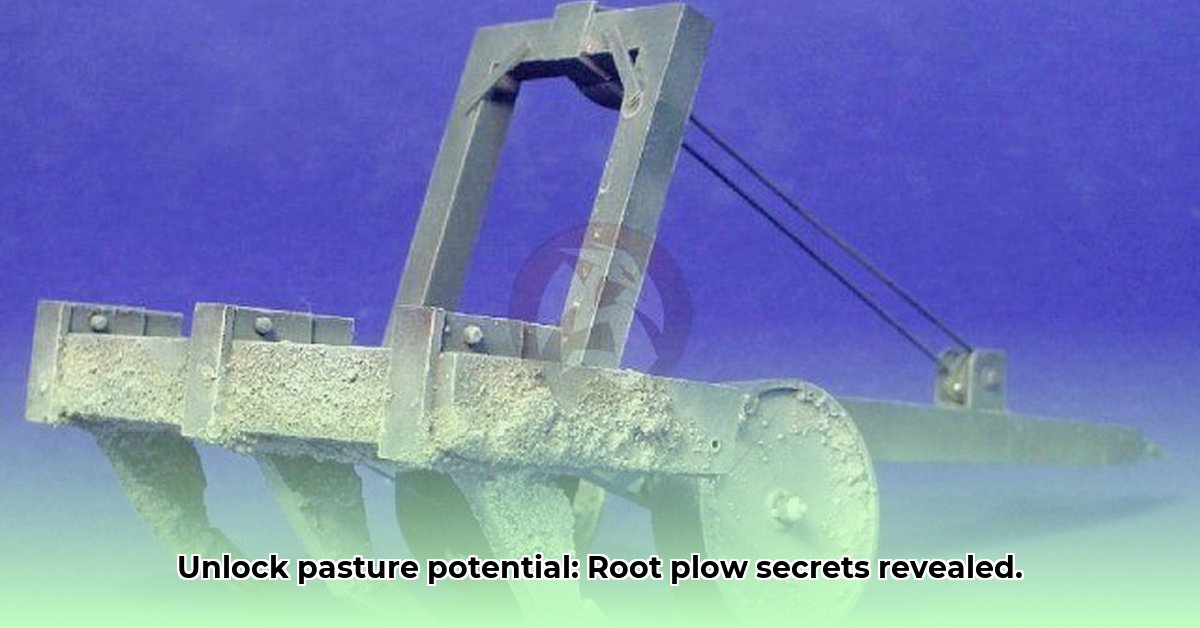 root-plow-for-tractor